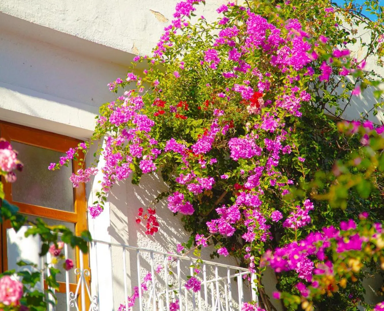 Hotel Karia Princess Αλικαρνασσός